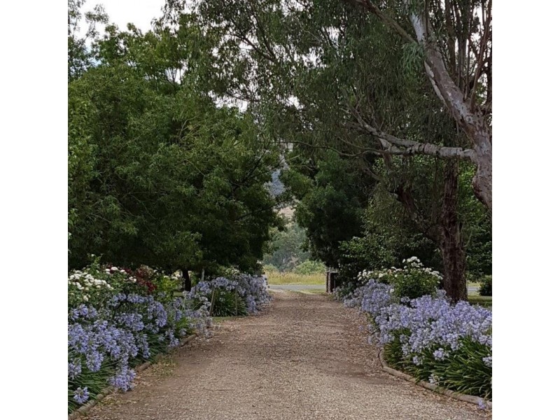 8792 Murray River Road, Walwa VIC 3709