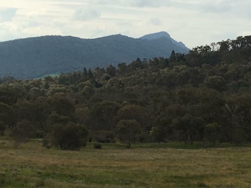 3818 Olympic Highway, The Rock via, Wagga Wagga NSW 2650