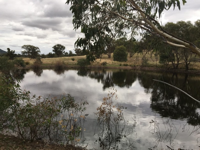 3818 Olympic Highway, The Rock via, Wagga Wagga NSW 2650