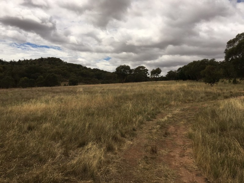 3818 Olympic Highway, The Rock via, Wagga Wagga NSW 2650