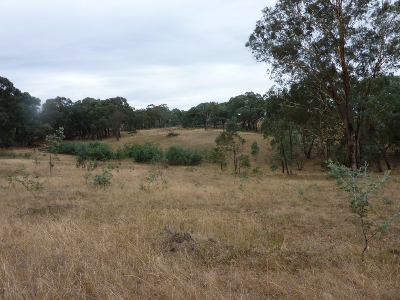 1150 Carabost Road, Humula NSW 2652