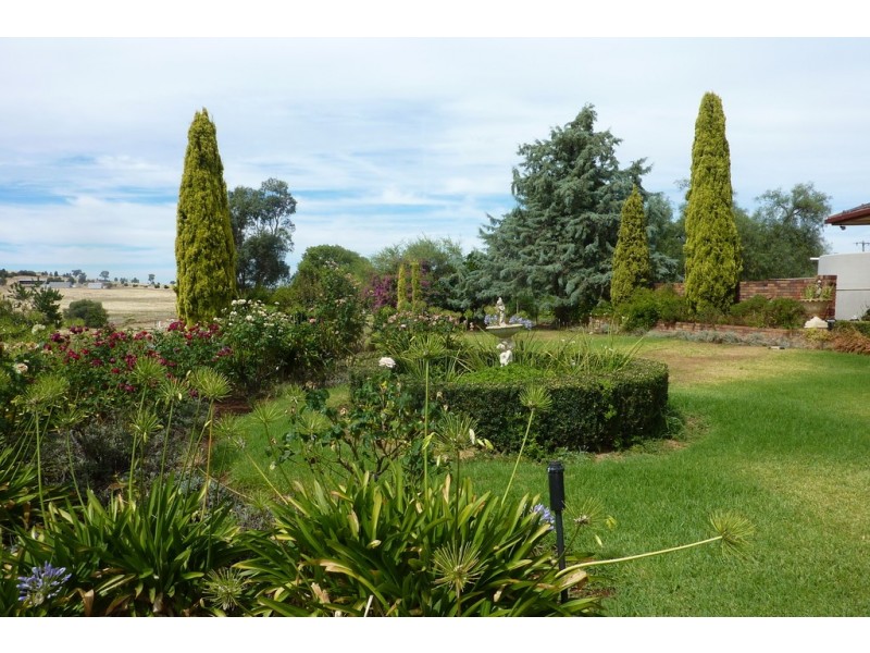 1147 Pattersons Road, Wagga Wagga NSW 2650