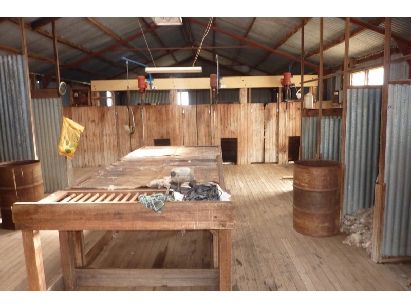 1147 Pattersons Road, Wagga Wagga NSW 2650