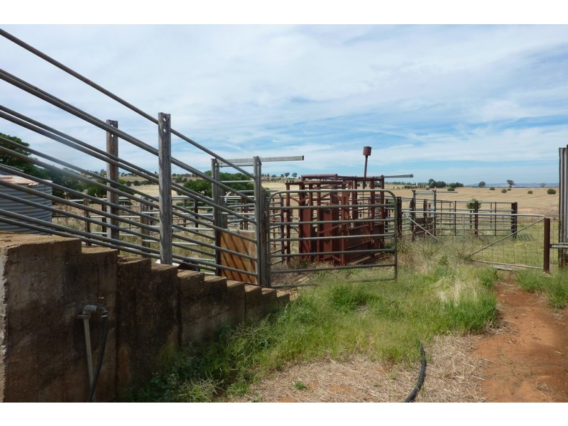 1147 Pattersons Road, Wagga Wagga NSW 2650