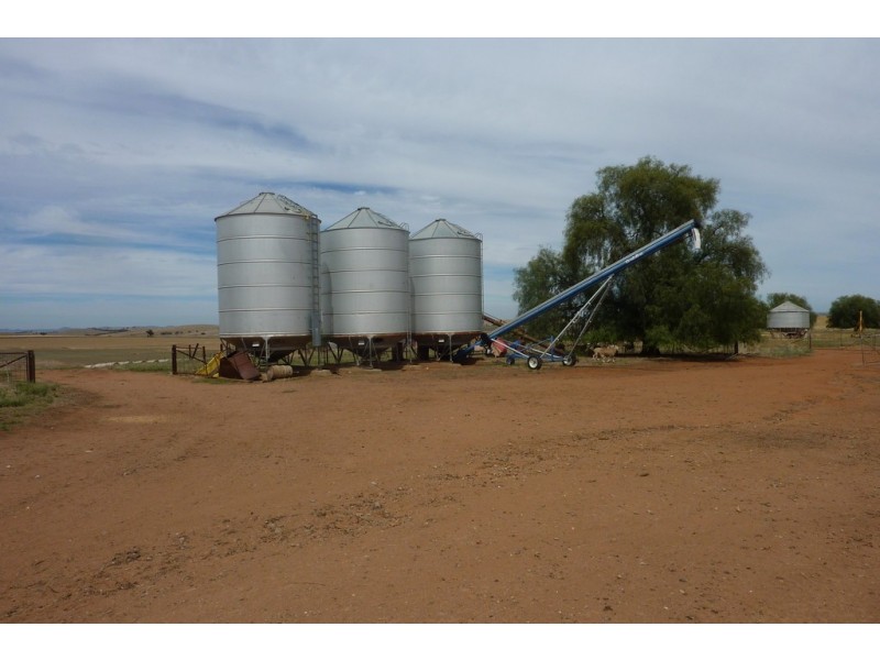 1147 Pattersons Road, Wagga Wagga NSW 2650