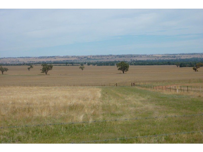 1147 Pattersons Road, Wagga Wagga NSW 2650