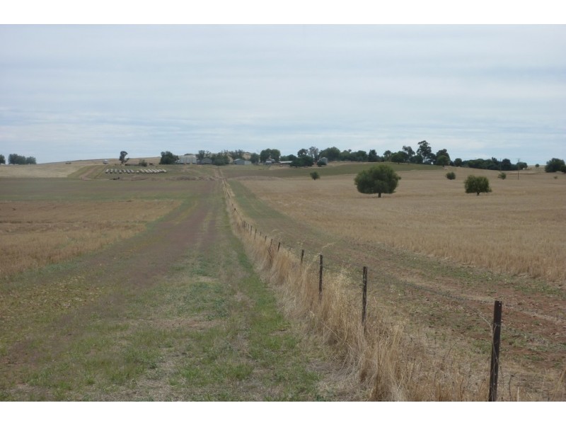 1147 Pattersons Road, Wagga Wagga NSW 2650