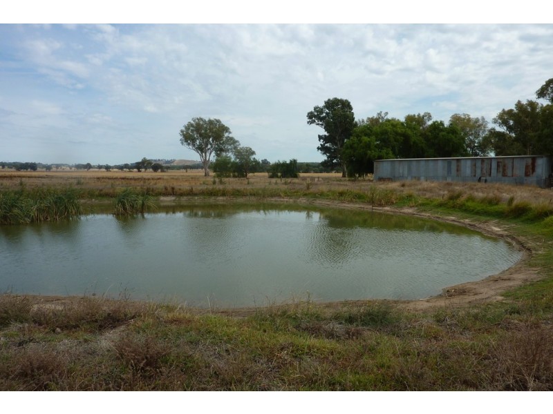 477 Gregadoo East Road, Wagga Wagga NSW 2650