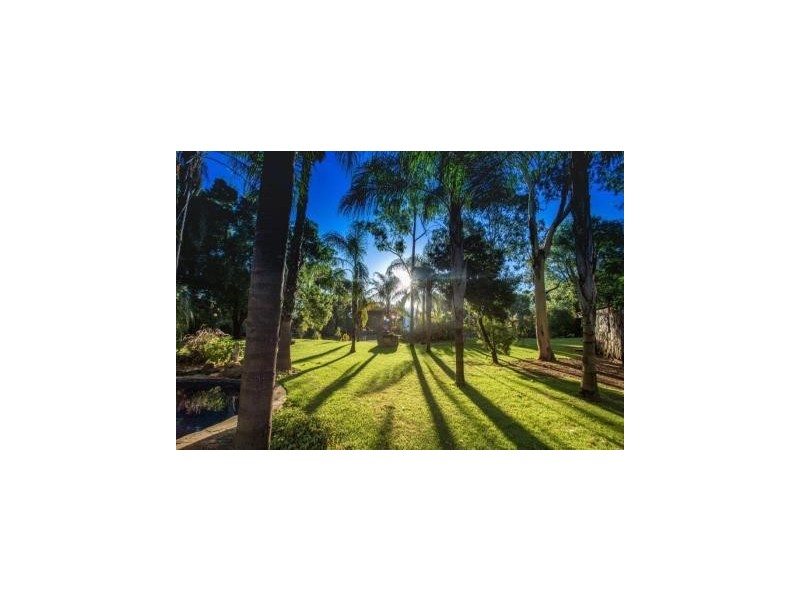 587 Rolfe Road, Finley NSW 2713