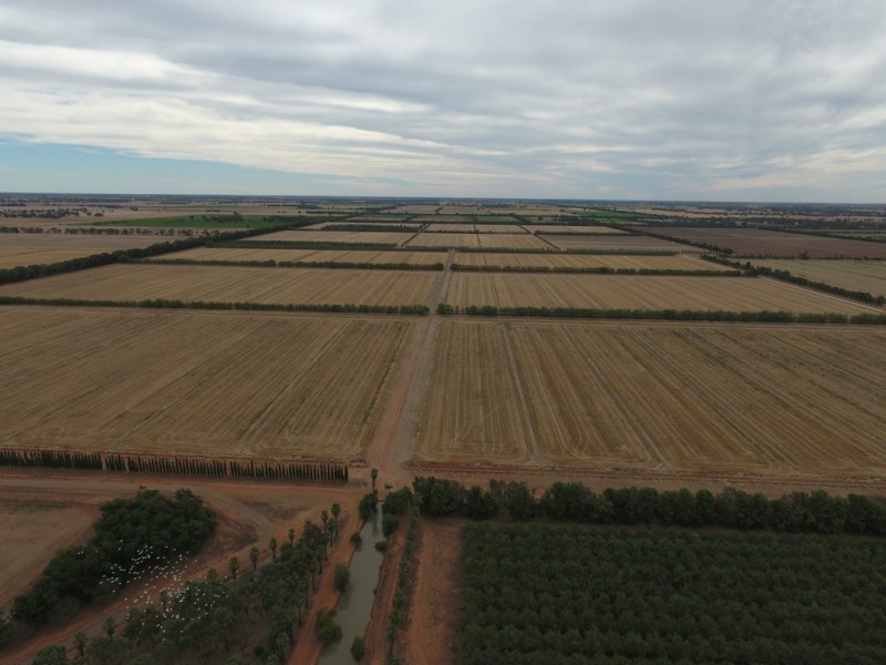 587 Rolfe Road, Finley NSW 2713