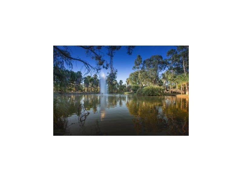 587 Rolfe Road, Finley NSW 2713