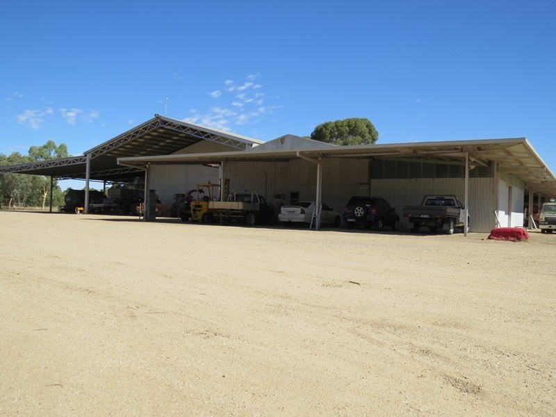 587 Rolfe Road, Finley NSW 2713