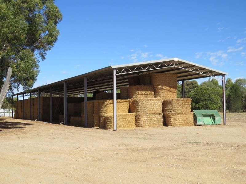 587 Rolfe Road, Finley NSW 2713