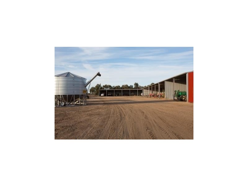 587 Rolfe Road, Finley NSW 2713