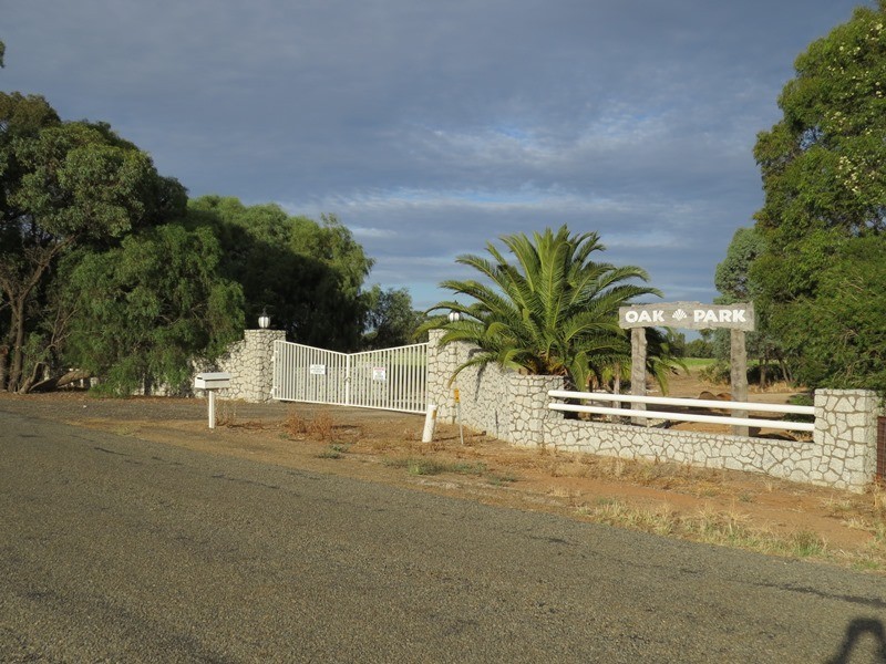 587 Rolfe Road, Finley NSW 2713