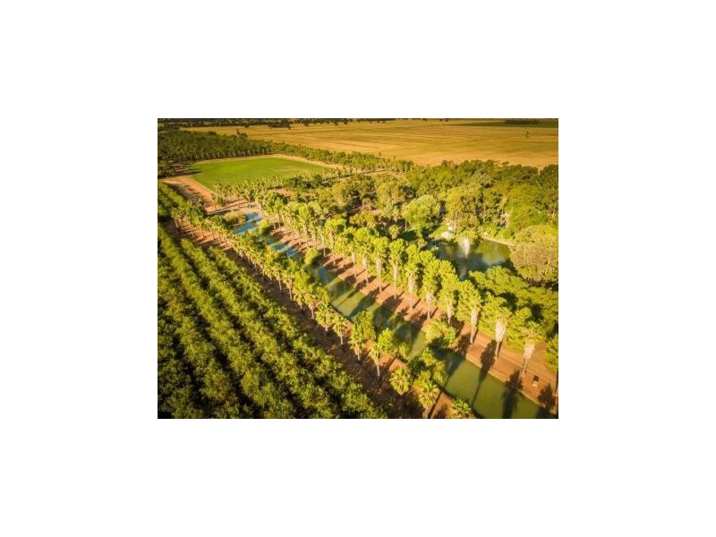 587 Rolfe Road, Finley NSW 2713