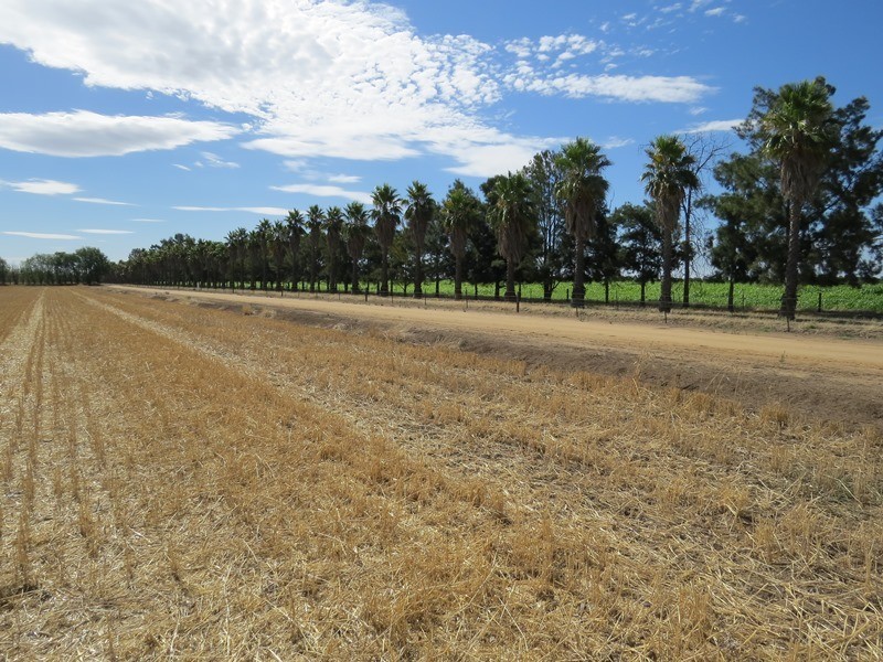 587 Rolfe Road, Finley NSW 2713