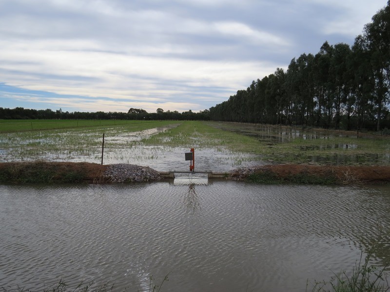 587 Rolfe Road, Finley NSW 2713