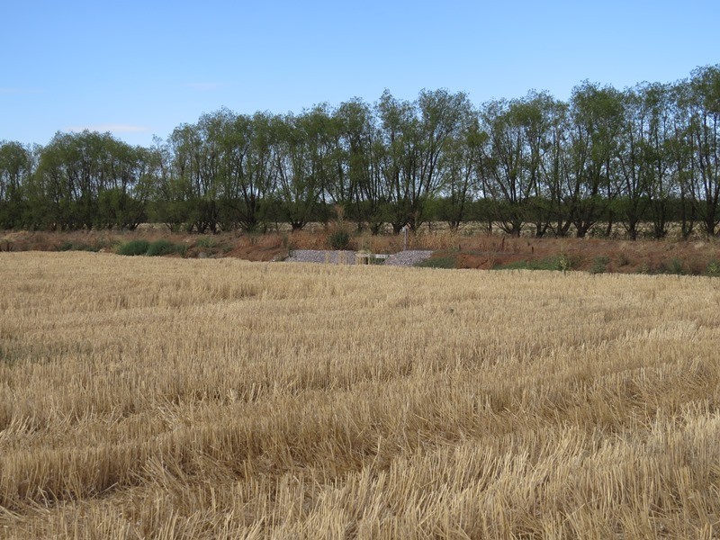 587 Rolfe Road, Finley NSW 2713