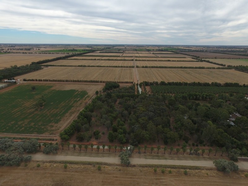 587 Rolfe Road, Finley NSW 2713