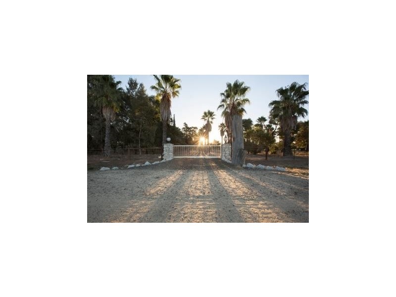 587 Rolfe Road, Finley NSW 2713