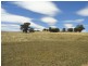 2718 Coppabella Road, Carabost NSW 2650