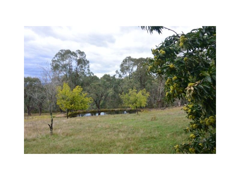 Lot 1, 392 Racecourse Road, Yackandandah VIC 3749