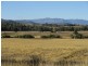 59 Smiths Lane, Mudgegonga VIC 3737
