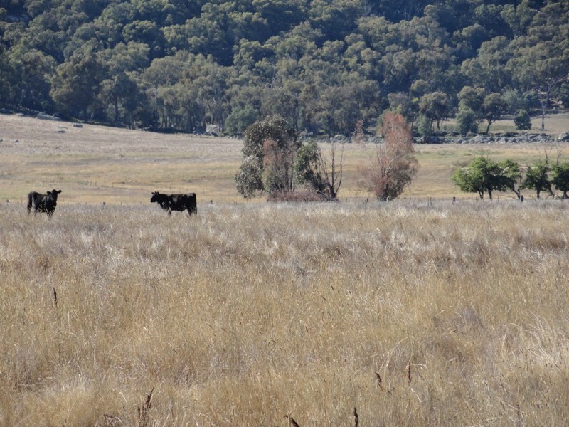 59 Smiths Lane, Mudgegonga VIC 3737