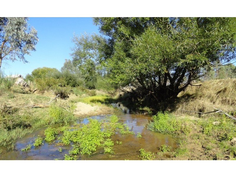 59 Smiths Lane, Mudgegonga VIC 3737