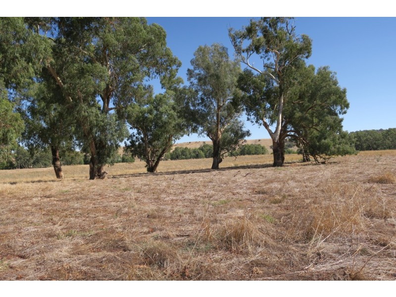 1106 Sturt Highway, Wagga Wagga NSW 2650