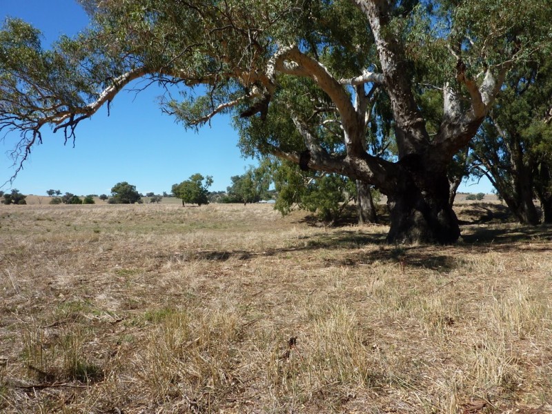 1106 Sturt Highway, Wagga Wagga NSW 2650