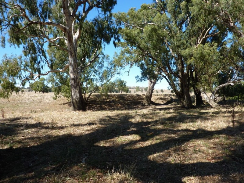 1106 Sturt Highway, Wagga Wagga NSW 2650