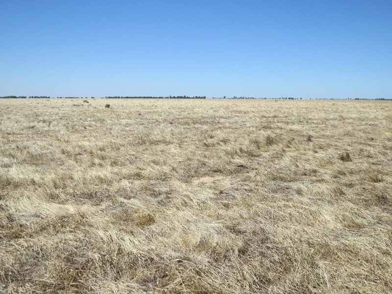 “Dandaloo” Noorong Road, Barham NSW 2732