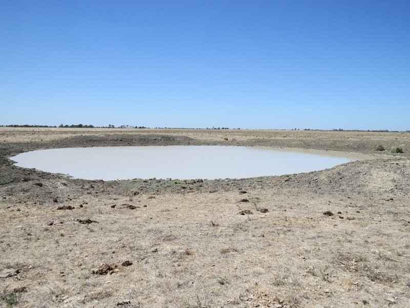 “Dandaloo” Noorong Road, Barham NSW 2732
