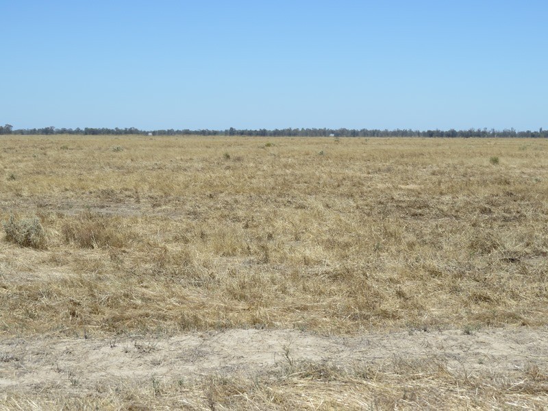 “Dandaloo” Noorong Road, Barham NSW 2732