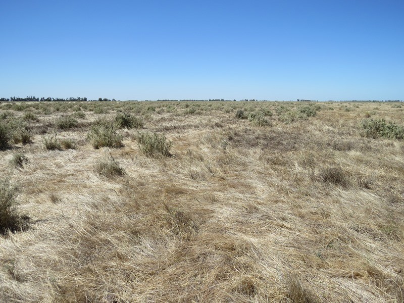 “Dandaloo” Noorong Road, Barham NSW 2732