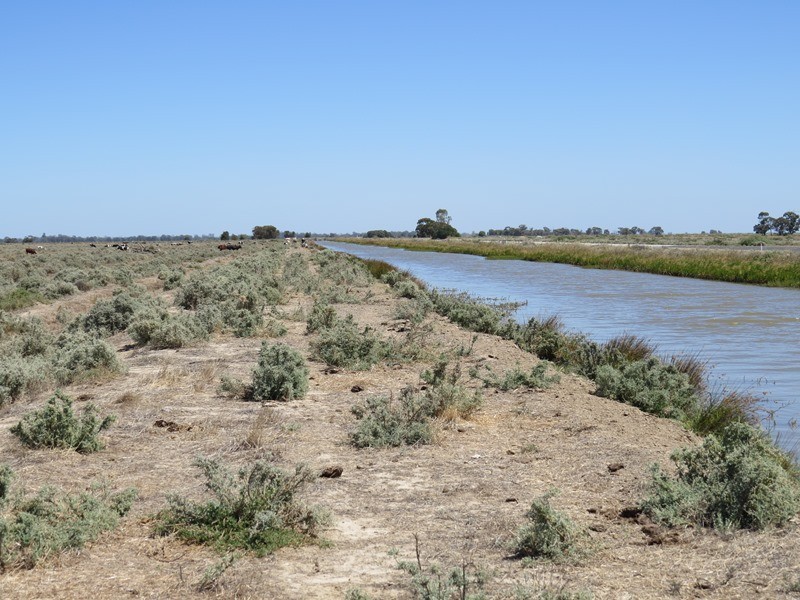 “Dandaloo” Noorong Road, Barham NSW 2732