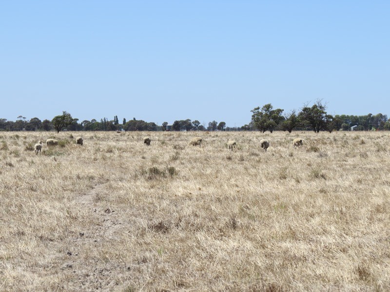 “Dandaloo” Noorong Road, Barham NSW 2732