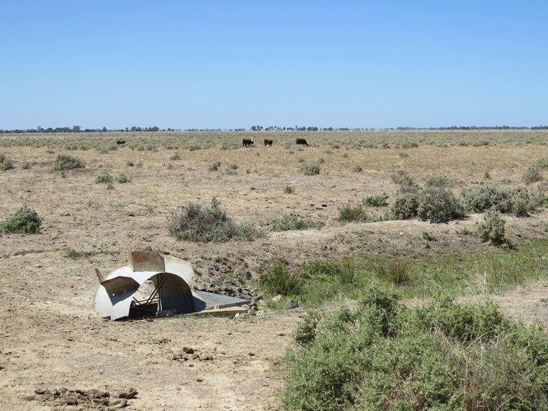 “Dandaloo” Noorong Road, Barham NSW 2732