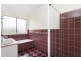 624 Glenellen Road, Jindera NSW 2642