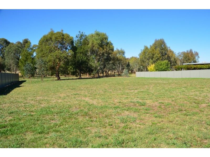 41 Harold Conkey Ave, Cootamundra NSW 2590