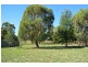 41 Harold Conkey Ave, Cootamundra NSW 2590