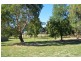 41 Harold Conkey Ave, Cootamundra NSW 2590