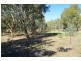 41 Harold Conkey Ave, Cootamundra NSW 2590
