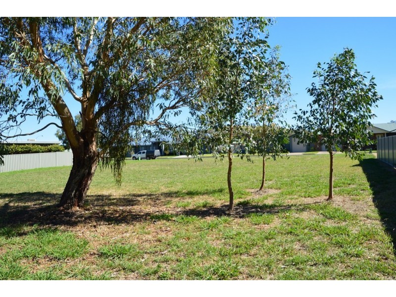 41 Harold Conkey Ave, Cootamundra NSW 2590