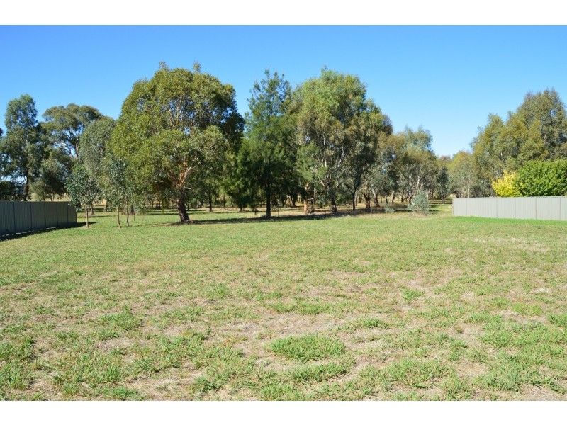 41 Harold Conkey Ave, Cootamundra NSW 2590