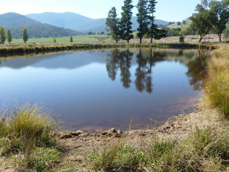 Lot 4 Hindleton Road, Bullioh VIC 3700