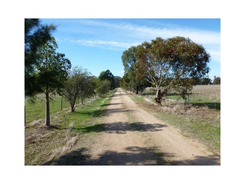 1009 Howlong-Balldale Road, Balldale NSW 2646