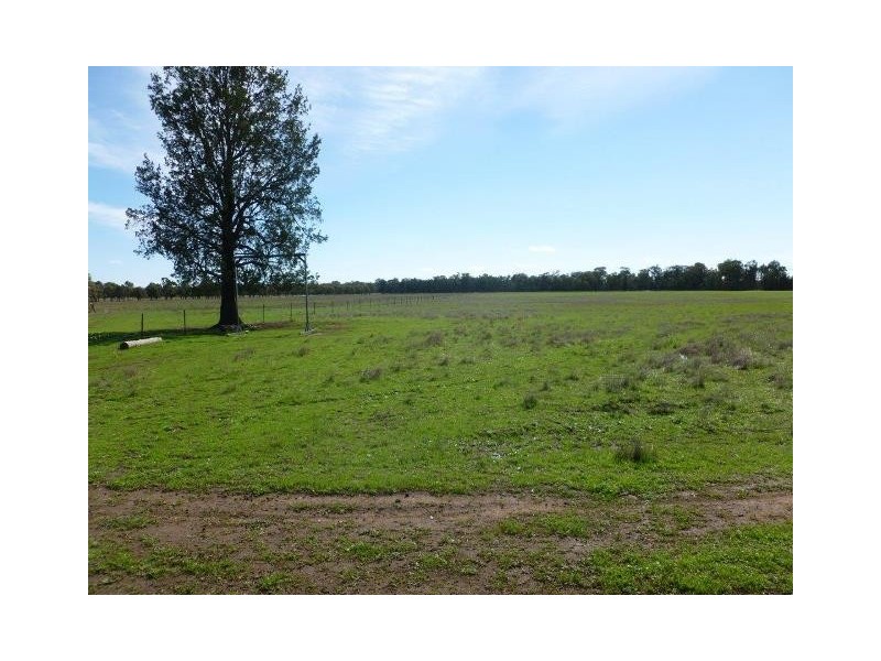 1009 Howlong-Balldale Road, Balldale NSW 2646